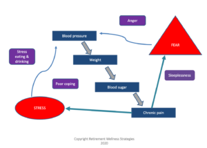 Stress impairs decision-making